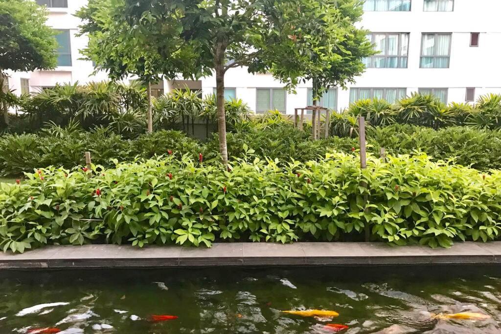 Condo In Imago Mall 亚庇最大商场imago楼里公寓 코타키나발루에서가장큰쇼핑센터아파트 Kültér fotó